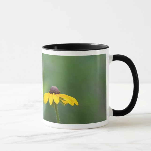 Caneca tudo limpo (Direita)