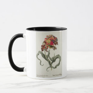 Caneca Tulipa Monstrosa Rubra Maior 'de Phythanthoza CI