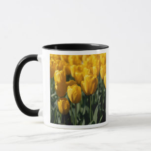 Caneca Tulipas 3