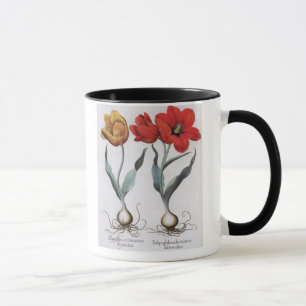 Caneca Tulipas: colore do cinnabrio do serotina do