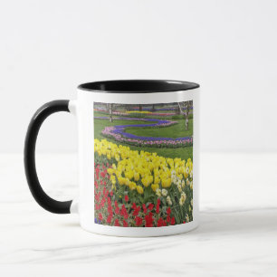 Caneca Tulipas, Jacintos-de-garrafa e Narcisos,