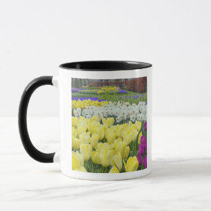 Caneca Tulipas, narcisos e flores de Jacinto de Uva,