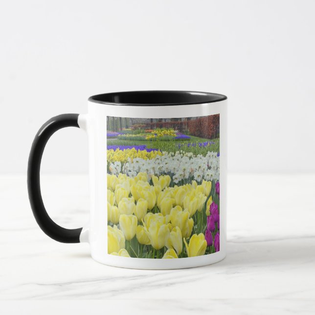 Caneca Tulipas, narcisos e flores de Jacinto de Uva, (Esquerda)