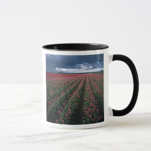 Caneca Tulipas rosa brilhante e vermelho brilham sob o es