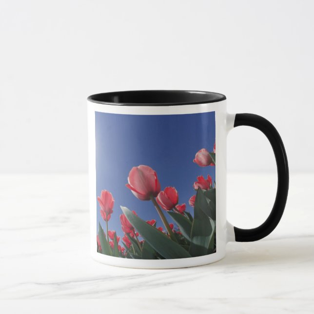 Caneca Tulipas vermelhas de ângulo muito baixo, Cincinnat (Direita)