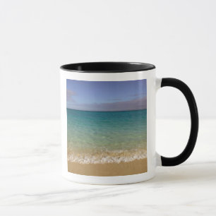 Caneca Turks e Caicos, Ilha Providenciales, Grace 2