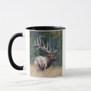 Caneca Uapiti Canadense Macho das Montanhas Rochosas