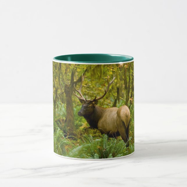 Caneca Uapiti Roosevelt macho (Centro)
