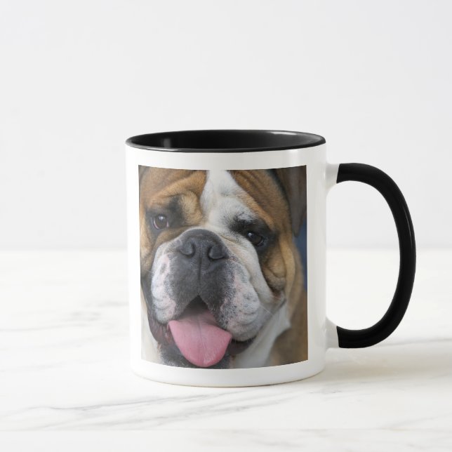 Caneca Um bulldog inglês na Bélgica. (Direita)