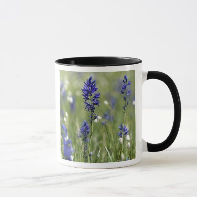 Caneca Um campo de montanha de flores silvestres, incluin (Direita)
