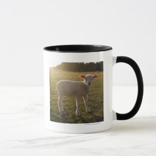 Caneca Um cordeiro no ajuste da suecia de Sun