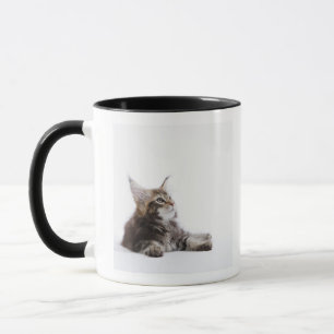 Caneca Um gatinho do gato de racum de Maine