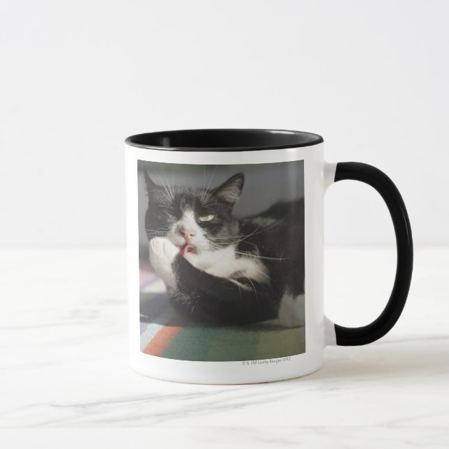 Caneca Um gato que lambe o é pata (Direita)