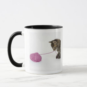 Caneca Um jogo novo do gatinho do gato malhado