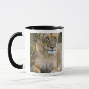 Caneca Um leão sentado na grama alta do Maasai