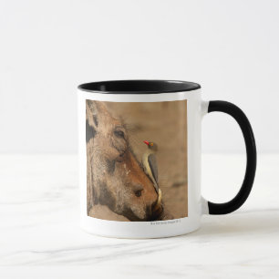 Caneca Um Oxpecker em um snout dos warthogs,