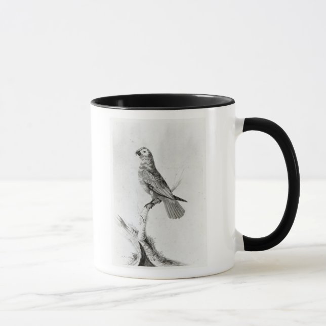 Caneca Um papagaio, 1786 (Direita)