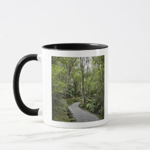 Caneca Um trajeto através de uma floresta tropical na