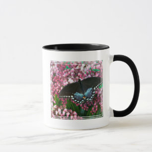 Caneca Uma Borboleta Enxofre Na Família Phoebis