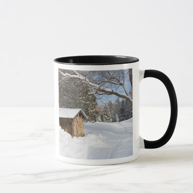 Caneca Uma cena nevado lagoa do Lyford de AMC em pouca (Direita)
