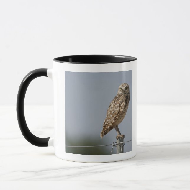 Caneca Uma coruja burrowing que senta-se em um cargo da (Esquerda)