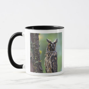 Caneca Uma coruja-de-orelha-longa empoleirada num ramo de
