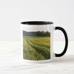 Caneca Uma estrada de fazenda em Sabins Pasture em Montpe