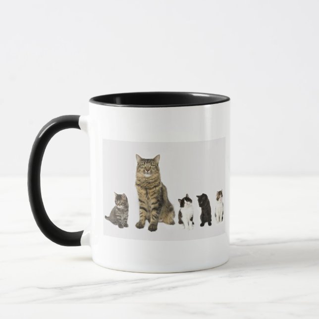 Caneca Uma mãe com seus quatro gatinhos todo o assento (Esquerda)