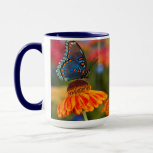 Caneca Uma Spicebush Swallowtail, Papilio troilus