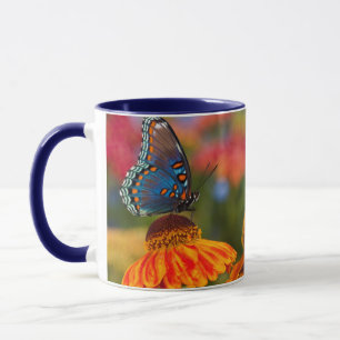 Caneca Uma Spicebush Swallowtail, Papilio troilus