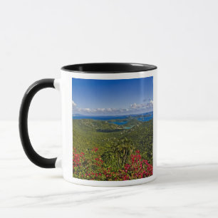 Caneca Uma vista panorâmica da Baía de Cruse, St. John Il
