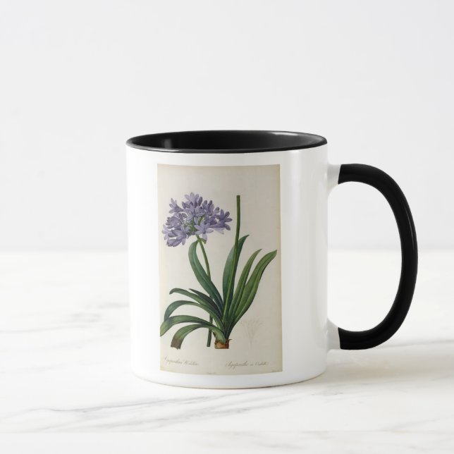 Caneca Umbrellatus do Agapanthus (Direita)