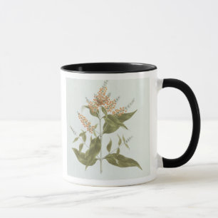 Caneca Umtar (polystachya do Buddleia) (w/c sobre a