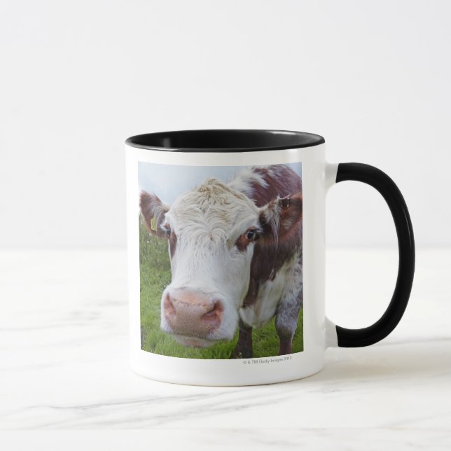 Caneca Única vaca que peerring na câmera (Direita)