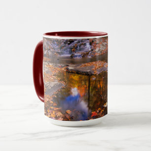 Caneca Upper Whiteoak Falls, Parque Nacional de Shenandoa