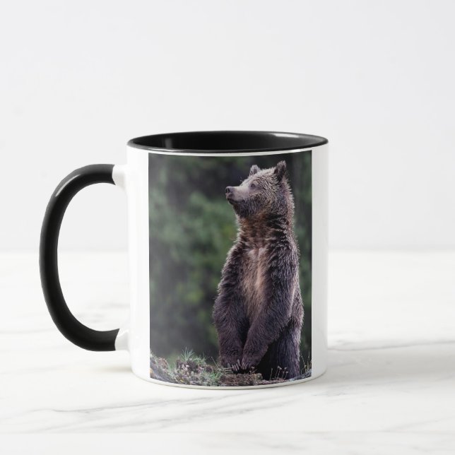 Caneca Urso de urso ereto (Esquerda)