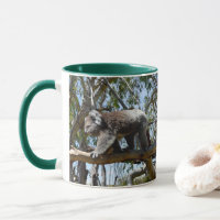Urso Koala Australiano, Grande Homem,