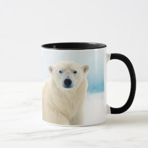 Caneca Urso polar adulto grande javali no gelo de verão