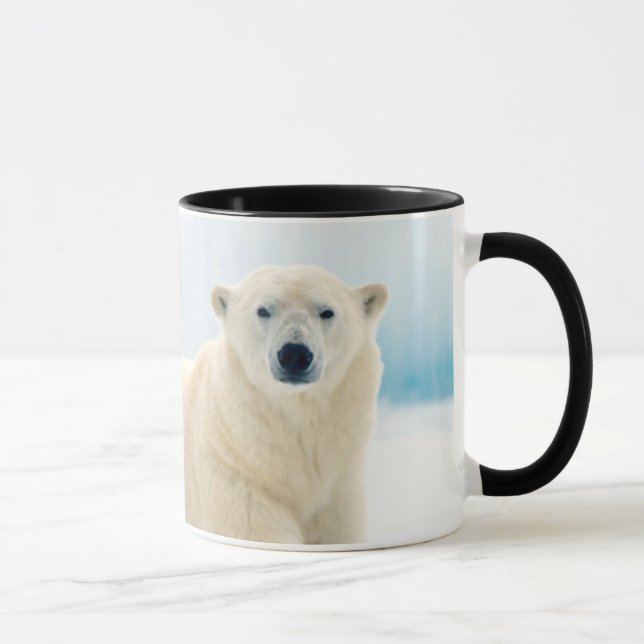 Caneca Urso polar adulto grande javali no gelo de verão (Direita)