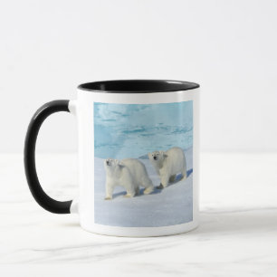 Caneca Urso polar, dois copos no gelo de bloco, Ursus