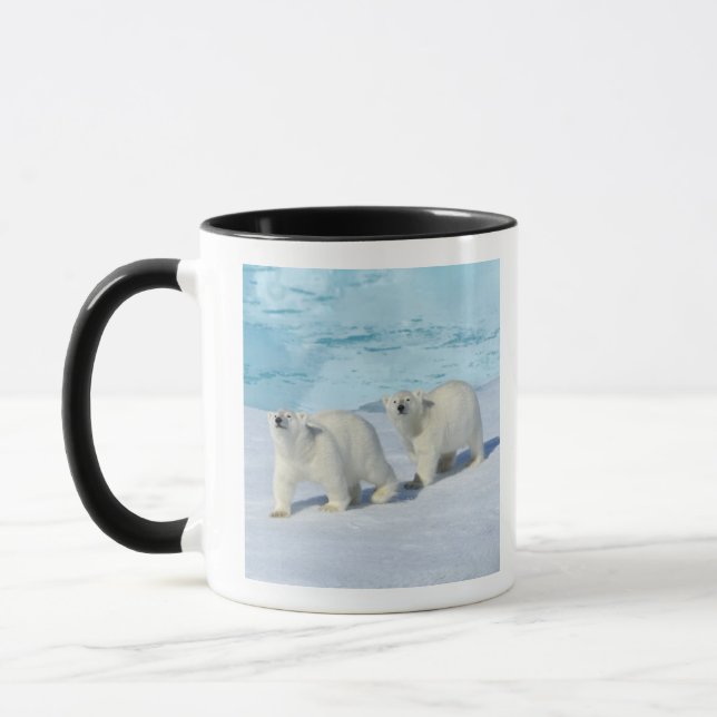 Caneca Urso polar, dois copos no gelo de bloco, Ursus (Esquerda)