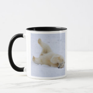 Caneca urso polar, Ursus maritimus, filhote rolando