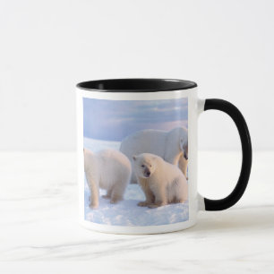 Caneca Ursoaica com filhotes no gelo costeiro