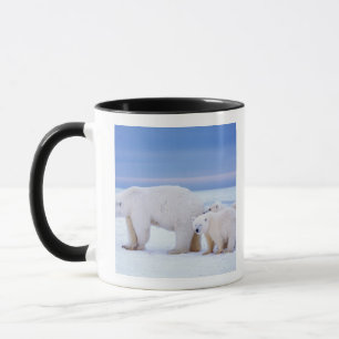 Caneca Ursoaica polar cu pui