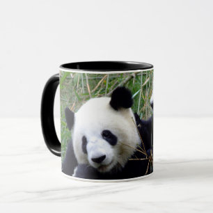 Caneca Ursos Panda Gigantes Comendo Bambu & Amor (engraç