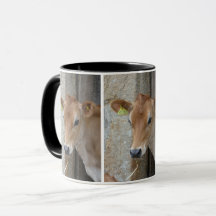 Vaca do jérsei/caneca da vitela