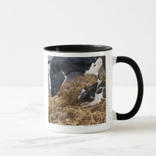 Caneca Vaca e vitela no feno