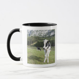 Caneca Vaca em um prado, Fie Sciliar Allo, alto Adige,
