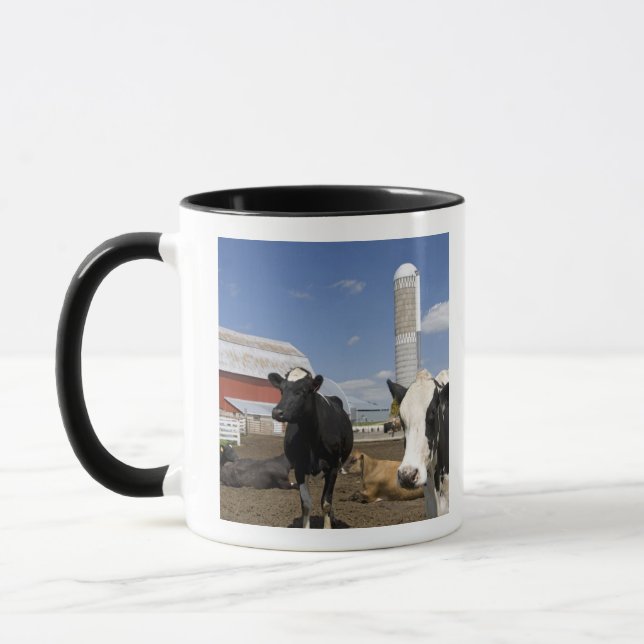 Caneca Vacas em frente a um celeiro vermelho e silo em um (Esquerda)