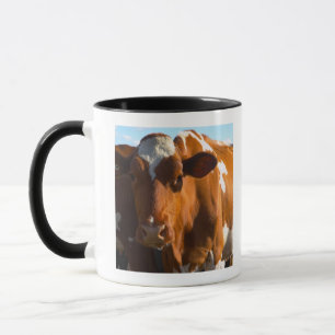 Caneca Vacas na fazenda